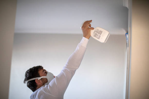 Best Same-Day Mold Removal  in Elm City, NC