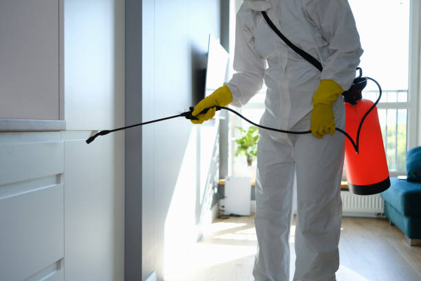 Best Fast Mold Removal  in Elm City, NC