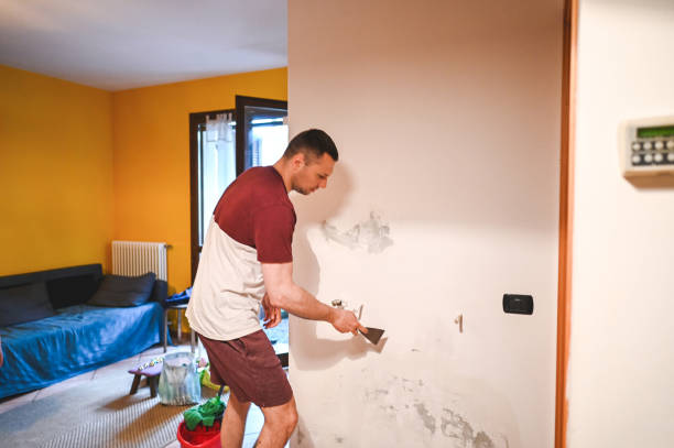 Best Water Damage Restoration  in Elm City, NC