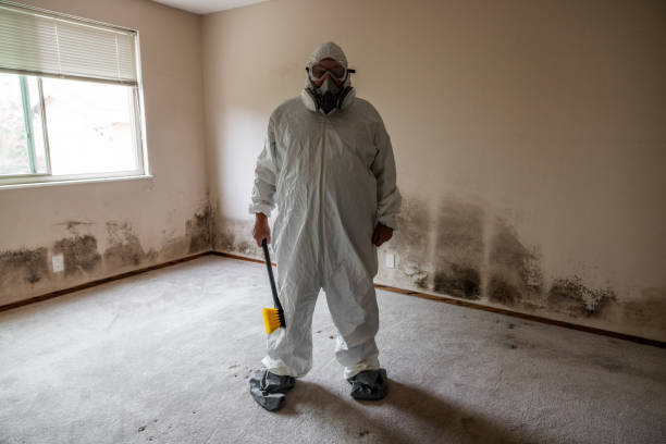 Office Mold Removal Services in Elm City, NC
